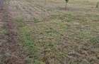 Teren intravilan de vanzare, 5000 mp - 3