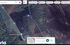 Teren 4.000mp Bucium-Dobrovat - 1