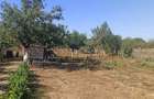 Casa in Ghioroc, cu un teren in suprafata de 2259 mp - 1