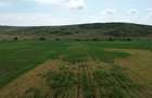 Teren agricol de vanzare Catina, jud. Cluj 16.600 mp - 1