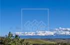 Ap. 3 camere, aer conditionat, terasa  - constructie noua - 10