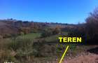 Teren Tasad 3 164 mp pt casa vacanta - 6