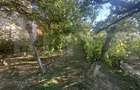 Casa de vanzare, 77 mp, teren 10 ari, zona Viile Satu Mare - 13