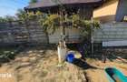 Casa cu TEREN 1100 mp in Maineasca ILFOV 38.000 euro negociabil