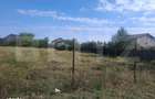 Teren intravilan, 600 mp, deschidere 15 ml, zona Dumbrava