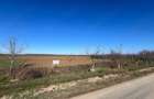 vand teren intravilan ineu. -Arad - 4