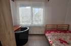Studio la curte utilat complet cu terasa zona Lazaret - 4