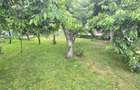 Far - Gara ! Casa 4 Camere Teren 400 Mp. Ideal Sediu Firma Birouri. - 14