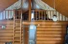 Cabana din busteni - refugiu ideal in mijlocul naturii