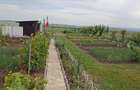 Teren Intravilan 470 mp – Horlești, Comuna Rediu (Proprietar) - 4