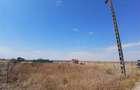 RECO Teren intravilan 500 mp  Livada de bihor - 1