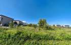Teren 20.000 mp Tunari str Mihai Eminescu , d= 50 ml, - 1