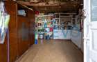 Casa si teren 3365mp Sascut - 10