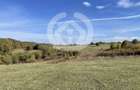 Teren extravilan 842 mp de vanzare | Rasinari | Aproape de Sibiu - 3