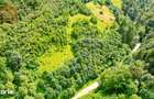 Investitie Smart in Moieciu, 3.1 ha, Panorama 360 Bucegi - Piatra Crai - 9