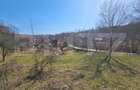 Teren intravilan 6.820 mp cu casa, padure ?i rau Alm - 8