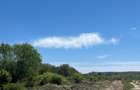 RECO teren intravilan Sanmartin - 5