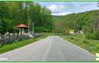 Teren forestier compact, 39,42 ha, Cheia Maneciu, ECX30374 - 4