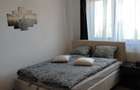 Apartament de inchiriat pt Electric Castle - 6