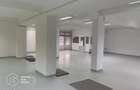 Cladire comerciala Freidorf /Timisoara - 8