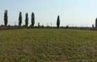TEREN DE VANZARE Intravilan  Ocazie! - 3