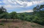 CASA DE VANZARE! Pre? 119.500 E Casa ideala pentru tine Milcoiu Valcea - 8