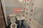 Apartament 1 camera de inchiriat, Nicolina (Lidl) - 4