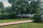 Casa cu pod mansardabil, 20 km de Delta Dunarii - 8