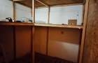 SPATIU COMERCIAL | TINERETULUI - 7