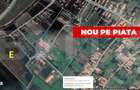 Oportunitate Investitie 5 Hectare La Pret Imbatabil | Alba - 2