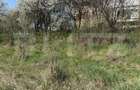 Teren intravilan in localitatea Criseni in suprafata de 2700 mp - 1