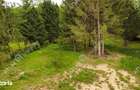 Teren intravilan 3000 mp in Porumbacu de Sus din Sibiu - 11