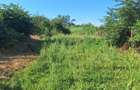 Cosoveni, proprietate 1300 mp+casa , utilitati! - 4