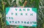 vand teren intravilan - 3