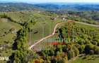 Teren in suprafata de 1.78 Ha in Purcareti, Jud. Alba cu apa si curent - 2