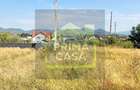 ZONA CASTEL TRANSILVANIA -str. VRANCEI -casa parter la rosu cu teren 1678mp!