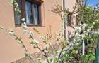 Direct proprietar - vila de vanzare in Hinova - 5