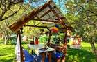 Casa P+M cu teren 1477 mp, TARCAU, Neamt - 11
