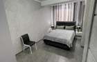 Apartament 2 camere de inchiriat in Vitan - 4