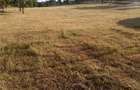 Teren de 2100 mp, în Rădăcinești - 2