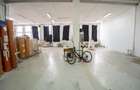 Modul hala, zona Fabricii - 1