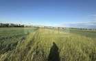 Teren extravilan de vanzare in zona Osoi 2.650 mp | Front 10 m - 5
