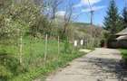 TEREN INTRAVILAN CU LIVADA | PRAHOVA| PROVITA DE SUS| BREAZA - 1