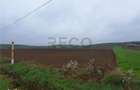 RECO teren Ghenetea 7800mp - 3