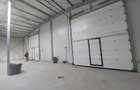 Ovidiu, parc industrial, constructie 2025, 120-1160 mp. - 8