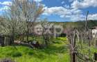 Casa la tara cu teren 3940 mp si livada zona linistita - 6