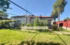 Casa 4 camere , cu beci ,1681m2 teren , Boldesti Scaeni - 2