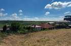 Teren intravilan, 700mp, Valea Lupului - 3
