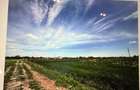 Teren agricol aproape de centura nord