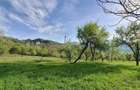 Teren extravilan de vanzare, Com. Nucsoara, Jud. Arges, 10/mp - 5